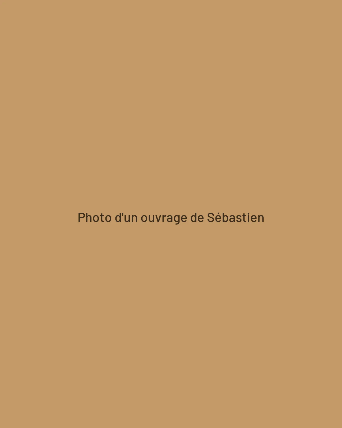 Emplacement pour une photo d'un ouvrage de Sébastien